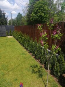 Wicker Garden Weidenmatte Sichtschutz 24 Scaled