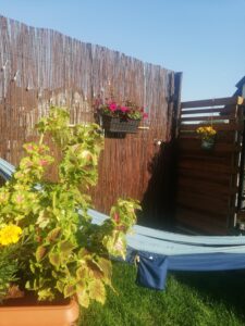 Wicker Garden Weidenmatte Sichtschutz 33 Scaled