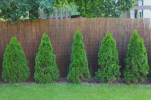 Wicker Garden Weidenmatte Sichtschutz 34