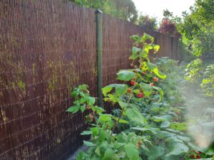 Wicker Garden Weidenmatte Sichtschutz 40