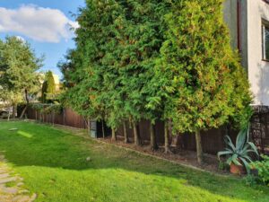 Wicker Garden Weidenmatte Sichtschutz 41