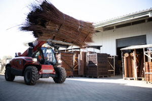 Wicker garden Weidenmatte - natürlicher Sichtschutz für Garten, Balkon und Terrasse, Sichtschutzzaun